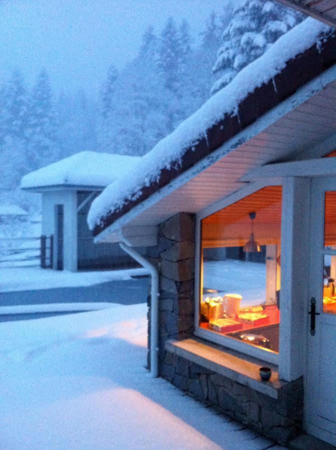 Le Chalet Blanc - Jacuzzi / Piscine / Sauna Gérardmer Exterior foto